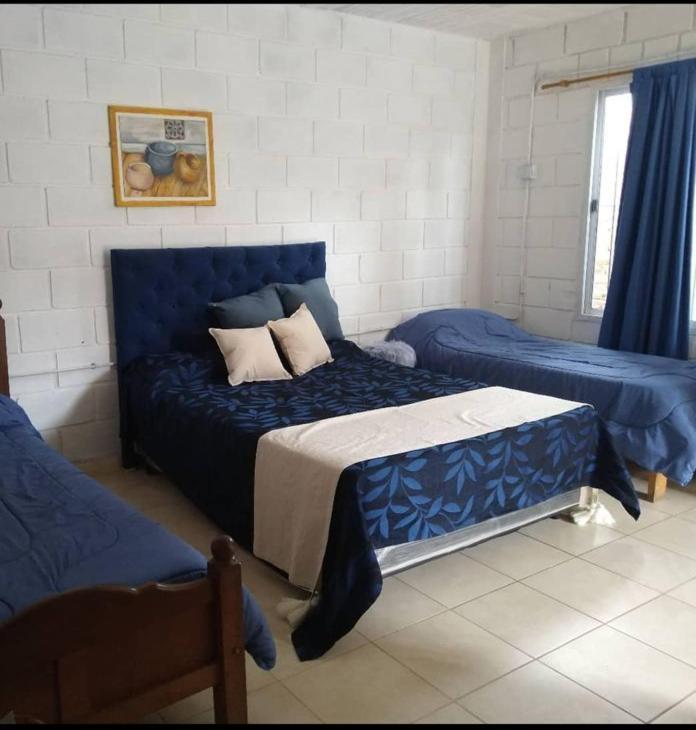 El Secreto De La Vida Villa de Soto